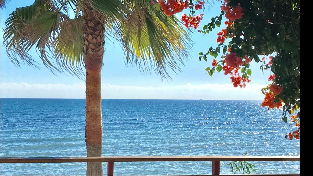 Mi Capricho 2B1 Beachfront Complex-Apartment Beachside With Sea Views Sitio de Calahonda Eksteriør billede